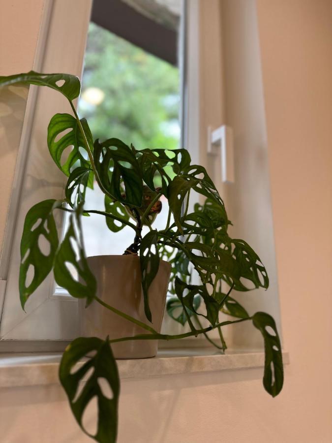 Olive View Apartment ברלה מראה חיצוני תמונה